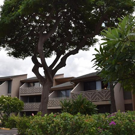 Kihei Holiday 116 Exterior photo